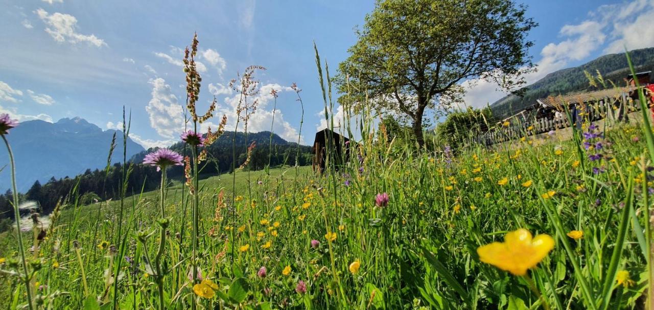 Stoffenhof Daire Oberdrauburg Dış mekan fotoğraf