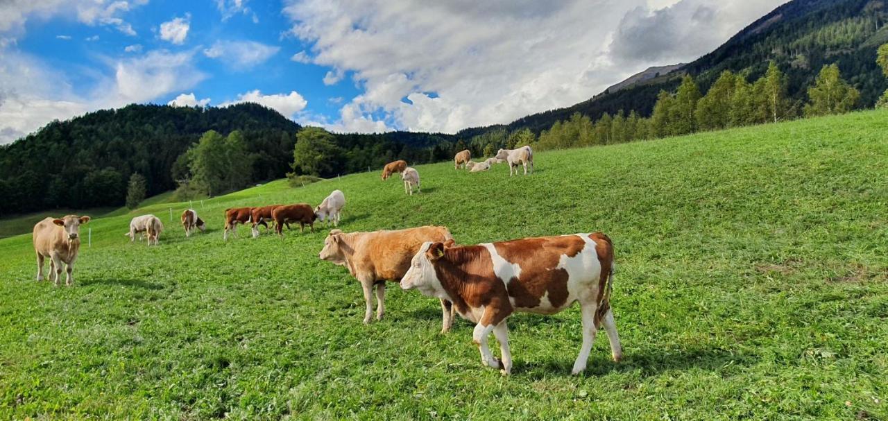 Stoffenhof Daire Oberdrauburg Dış mekan fotoğraf